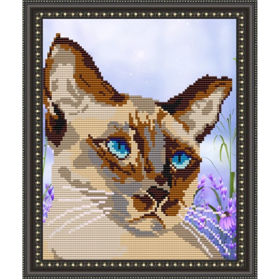 Рисунок на ткани "Сиамский кот"