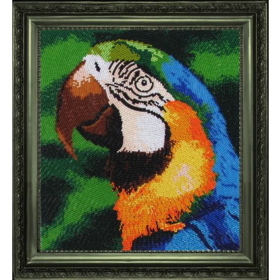Рисунок на ткани "Попугай"