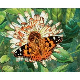 Картина стразами "Бабочка на цветке"