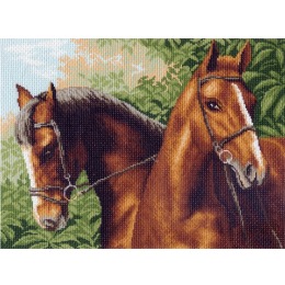 Рисунок на канве "Пара лошадей"