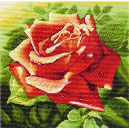 Рисунок на канве "Краснаяоза"