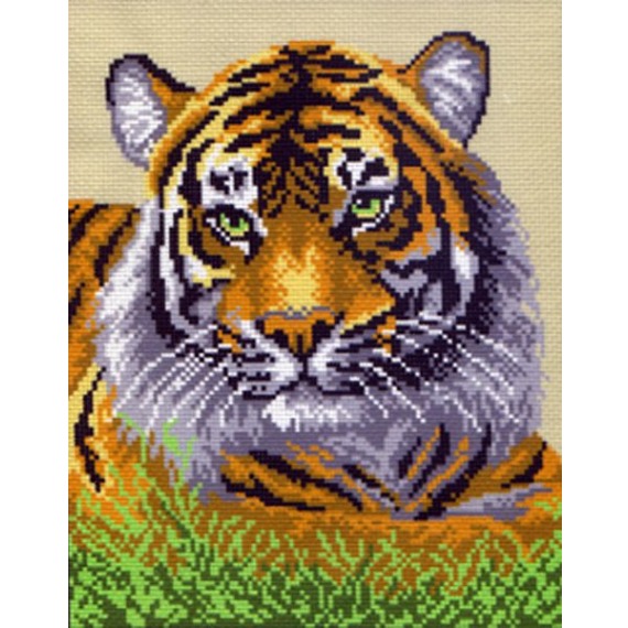 Рисунок на канве "Туранский тигр"