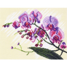 Рисунок на канве "Орхидеи, композиция"