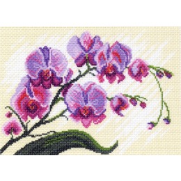 Рисунок на канве "Орхидеи, композиция"