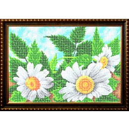 Рисунок на ткани для вышивания бисером "Садовая ромашка"