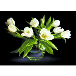 Рисунок на шелке "Белые тюльпаны"