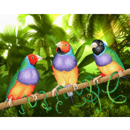 Рисунок на ткани "Три попугая"