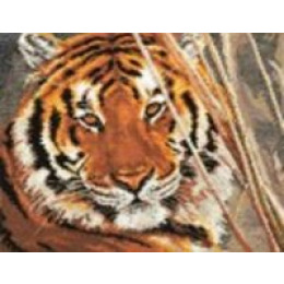 Набор для вышивания крестом "Тигр"