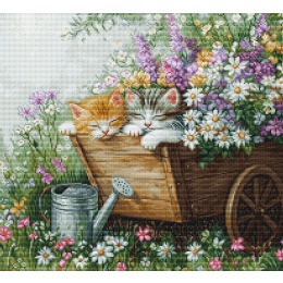 Набор для вышивания крестом "Спящие котята"