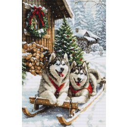 Набор для вышивания "Магия северной зимы"