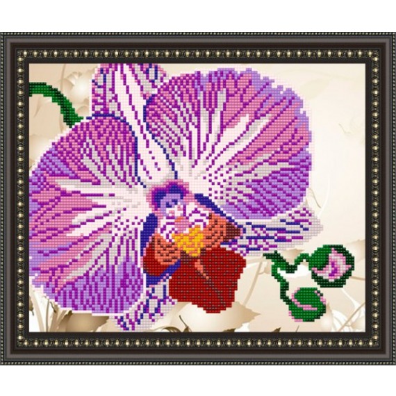 Рисунок на ткани "Орхидея"